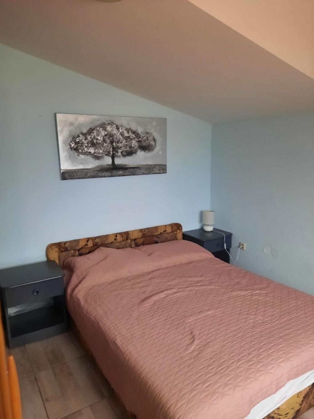 Apartments Visnja Nin Eksteriør bilde